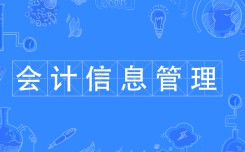 會計(jì)信息管理